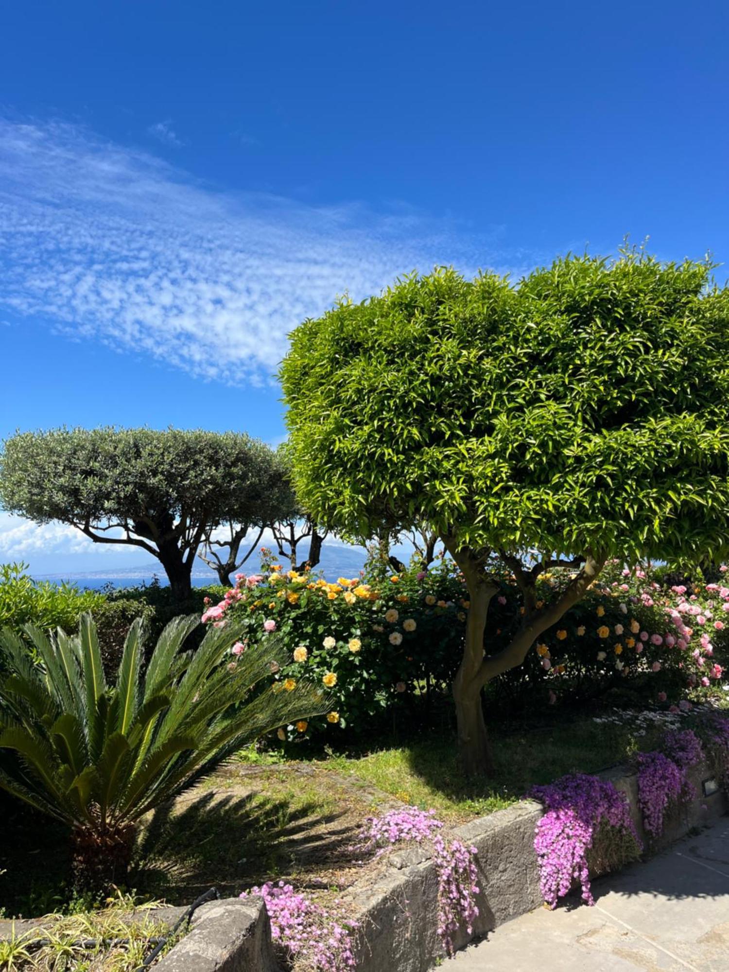 Hotel Sorrento Garden Exterior foto