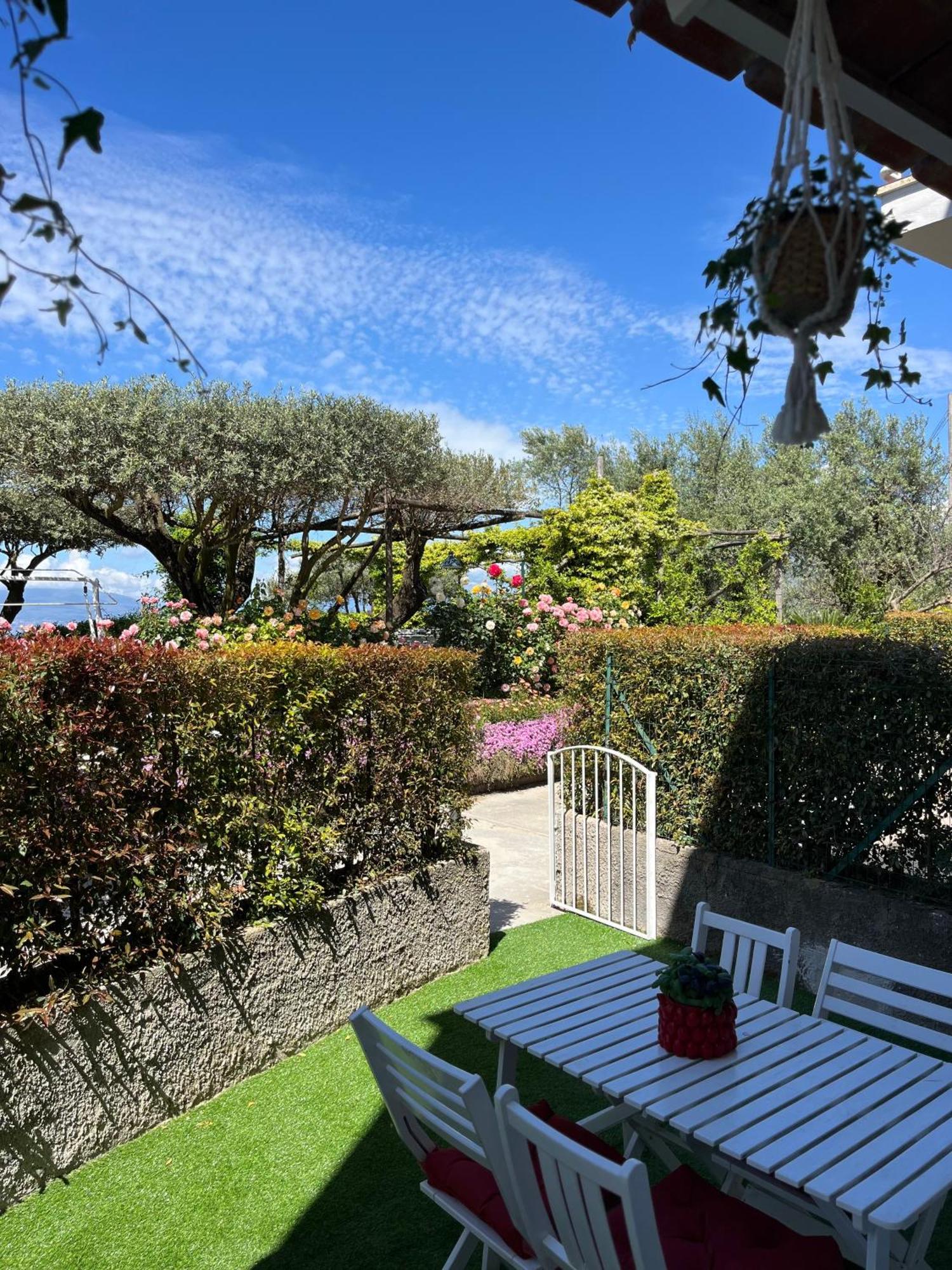 Hotel Sorrento Garden Exterior foto