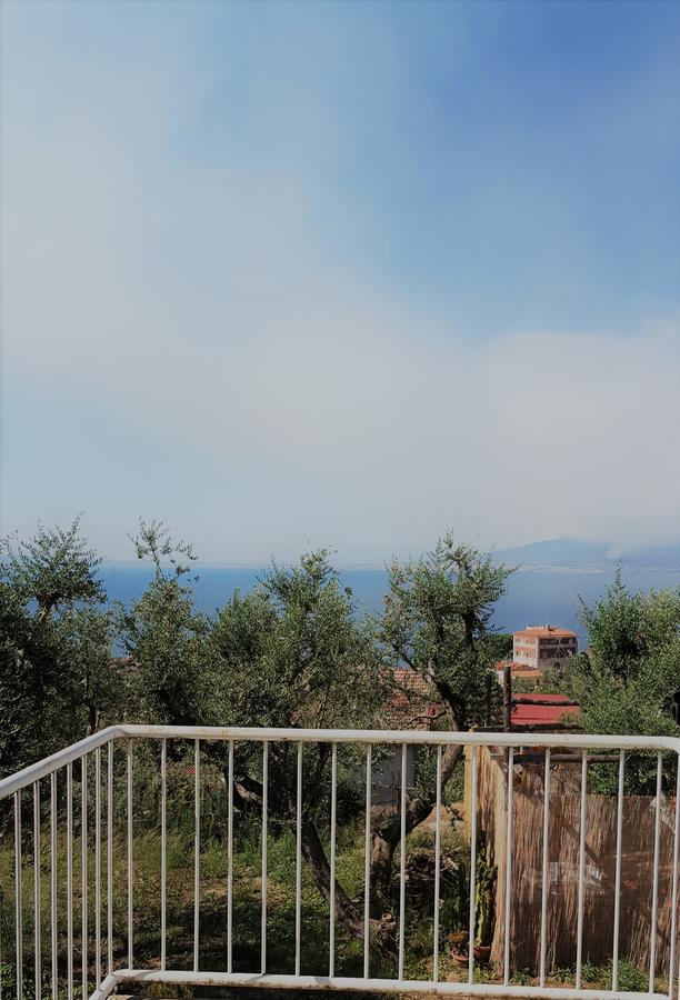 Hotel Sorrento Garden Exterior foto