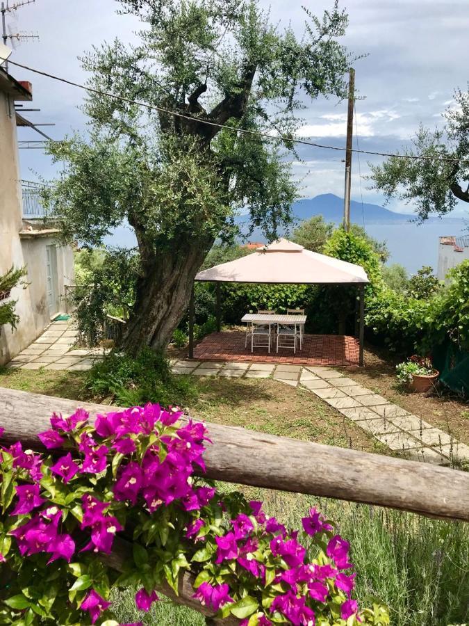 Hotel Sorrento Garden Exterior foto